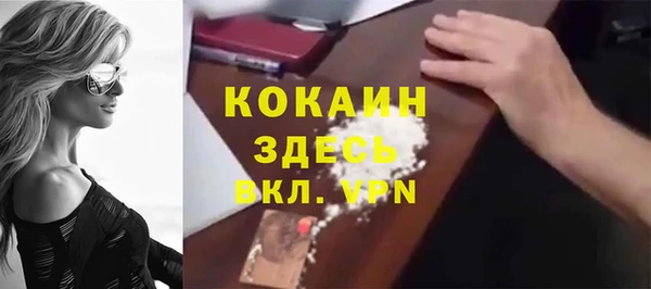 прущие грибы Абаза