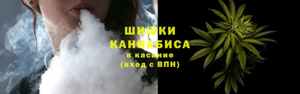 прущие грибы Абаза