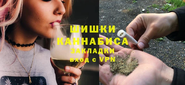 прущие грибы Абаза