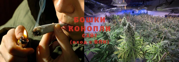 прущие грибы Абаза