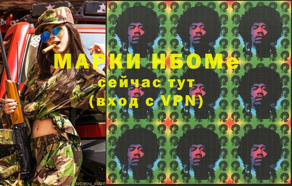 прущие грибы Абаза