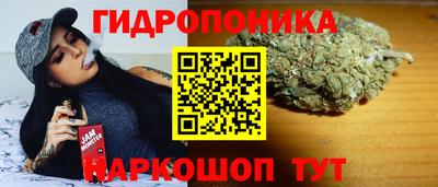 шишки Северобайкальск