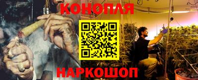 шишки Северобайкальск