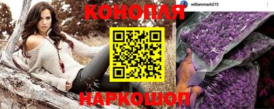 шишки Северобайкальск