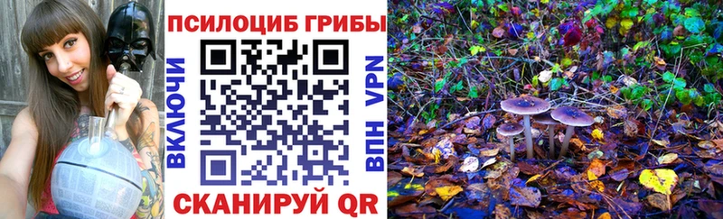 наркошоп  Оренбург  Галлюциногенные грибы ЛСД 