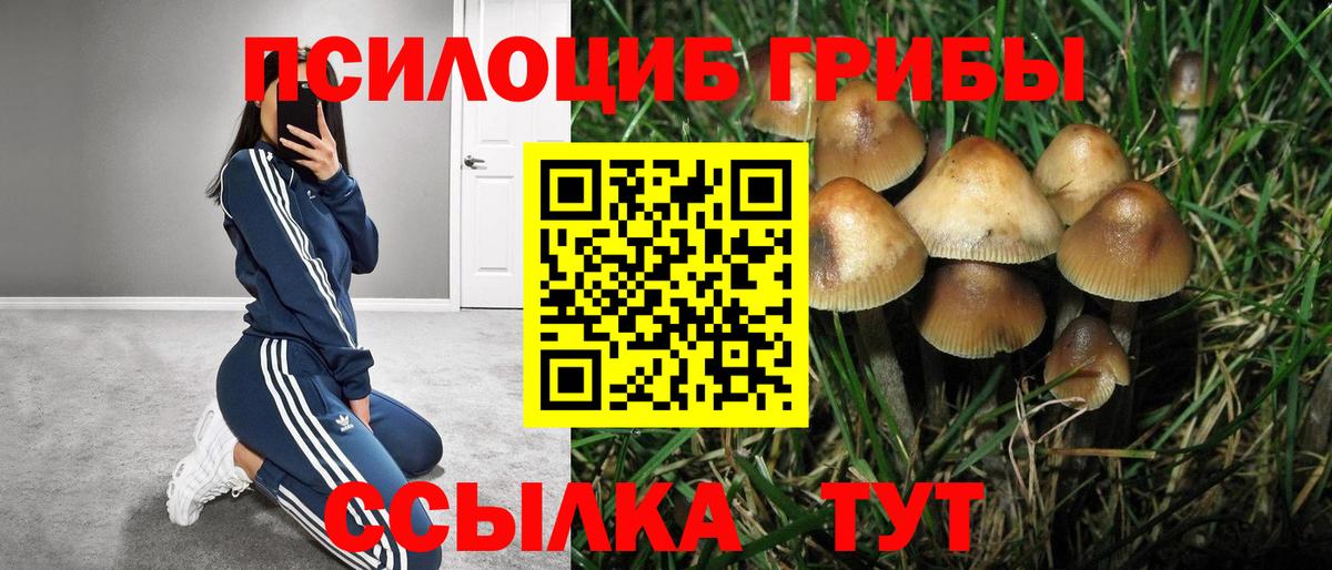 Псилоцибиновые грибы мицелий  Вход с VPN  хочу   Галлюциногенные грибы прущие грибы  Оренбург 