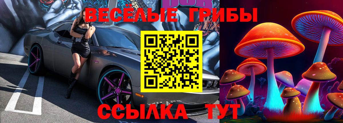 Псилоцибиновые грибы Cubensis Оренбург