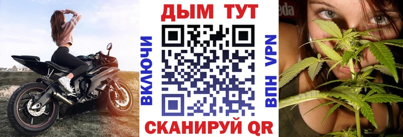 Бошки Шишки семена  kraken ССЫЛКА  Оренбург 